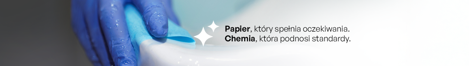 baner na page